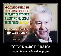 СОБЯКА-ВОРОВАКА редкой мансийской породы