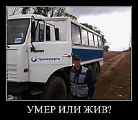 УМЕР ИЛИ ЖИВ? 
