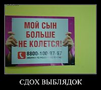 СДОХ ВЫБЛЯДОК 