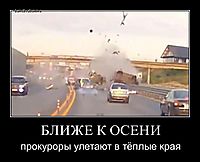 БЛИЖЕ К ОСЕНИ прокуроры улетают в тёплые края