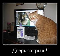 Дверь закрыл!!! 