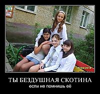 ТЫ БЕЗДУШНАЯ СКОТИНА если не помнишь её