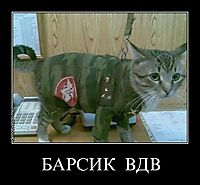 БАРСИК  ВДВ 
