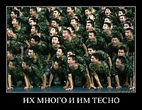 ИХ МНОГО И ИМ ТЕСНО 