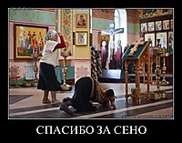 СПАСИБО ЗА СЕНО 