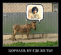 ЦОРНАЕВ, НУ ГДЕ ЖЕ ТЫ? 