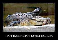 И ОТ НАШИСТОВ БУДЕТ ПОЛЬЗА 