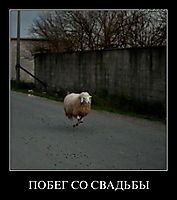 ПОБЕГ СО СВАДЬБЫ 