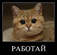 РАБОТАЙ