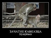 ЗАЧАТИЕ КАВКАЗЦА
