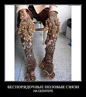 БЕСПОРЯДОЧНЫЕ ПОЛОВЫЕ СВЯЗИ НА СЕЛИГЕРЕ