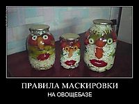 ПРАВИЛА МАСКИРОВКИ НА ОВОЩЕБАЗЕ