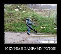 К КУРБАН БАЙРАМУ ГОТОВ! 