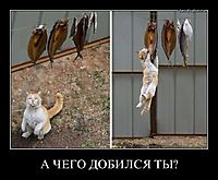 А ЧЕГО ДОБИЛСЯ ТЫ? 