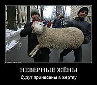 НЕВЕРНЫЕ ЖЁНЫ будут принесены в жертву