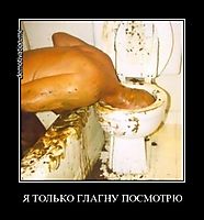 Я ТОЛЬКО ГЛАГНУ ПОСМОТРЮ 