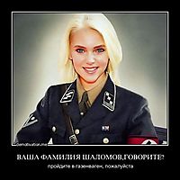 ВАША ФАМИЛИЯ ШАЛОМОВ,ГОВОРИТЕ? пройдите в газенваген, пожалуйста