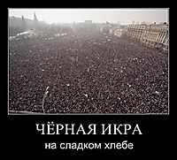 ЧЁРНАЯ ИКРА на сладком хлебе