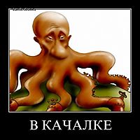В КАЧАЛКЕ 