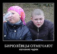 БИРЮЛЁВЦЫ ОТМЕЧАЮТ изгнание чурок