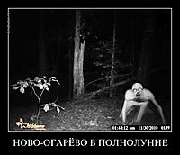 НОВО-ОГАРЁВО В ПОЛНОЛУНИЕ 