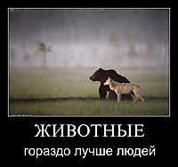 ЖИВОТНЫЕ гораздо лучше людей