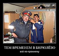 ТЕМ ВРЕМЕНЕМ В БИРЮЛЁВО всё по-прежнему