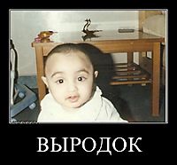 ВЫРОДОК 