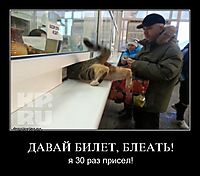ДАВАЙ БИЛЕТ, БЛЕАТЬ! я 30 раз присел!