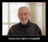 ЧЕБУРЕК ПРОТУХШИЙ 