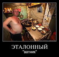 ЭТАЛОННЫЙ "ватник"
