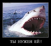 ТЫ  НУЖЕН  ЕЙ ! 