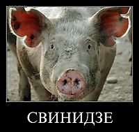 СВИНИДЗЕ 