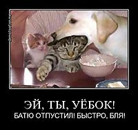 ЭЙ, ТЫ, УЁБОК! БАТЮ ОТПУСТИЛ! БЫСТРО, БЛЯ!