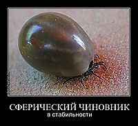 СФЕРИЧЕСКИЙ ЧИНОВНИК в стабильности