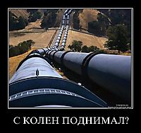 С КОЛЕН ПОДНИМАЛ? 