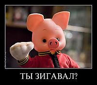 ТЫ ЗИГАВАЛ? 
