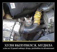 ХУЛИ ВЫЛУПИЛСЯ, МУДИЛА ключ на 12 давай! наберут, блядь, долбоёбов по объявлению!