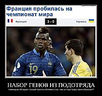 НАБОР ГЕНОВ ИЗ ПОДОТРЯДА гоминидов обладает лучшей приспособляемостью, чем из подотряда свинообразных!!!