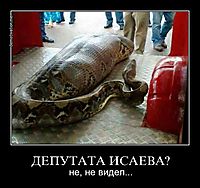 ДЕПУТАТА ИСАЕВА?