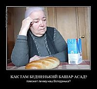 КАК ТАМ БЕДНЕНЬКИЙ БАШАР АСАД? поможет ли ему наш Володенька?