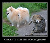 СЛУЖИТЬ ИЛИ БЫТЬ СВОБОДНЫМ? 
