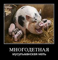 МНОГОДЕТНАЯ мусульманская мать