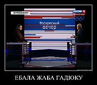 ЕБАЛА ЖАБА ГАДЮКУ 