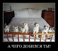 А ЧЕГО ДОБИЛСЯ ТЫ? 