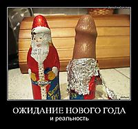 ОЖИДАНИЕ НОВОГО ГОДА и реальность