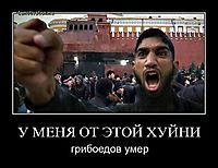 У МЕНЯ ОТ ЭТОЙ ХУЙНИ грибоедов умер