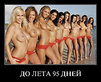 ДО ЛЕТА 95 ДНЕЙ 