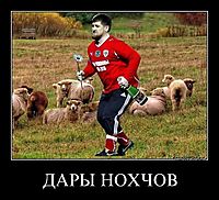 ДАРЫ НОХЧОВ 
