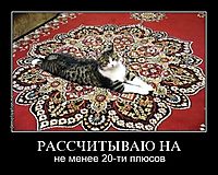 РАССЧИТЫВАЮ НА не менее 20-ти плюсов